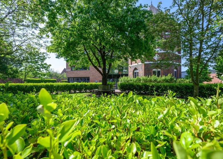 Green hedges in Loreto College campus with the Chapel in the background.