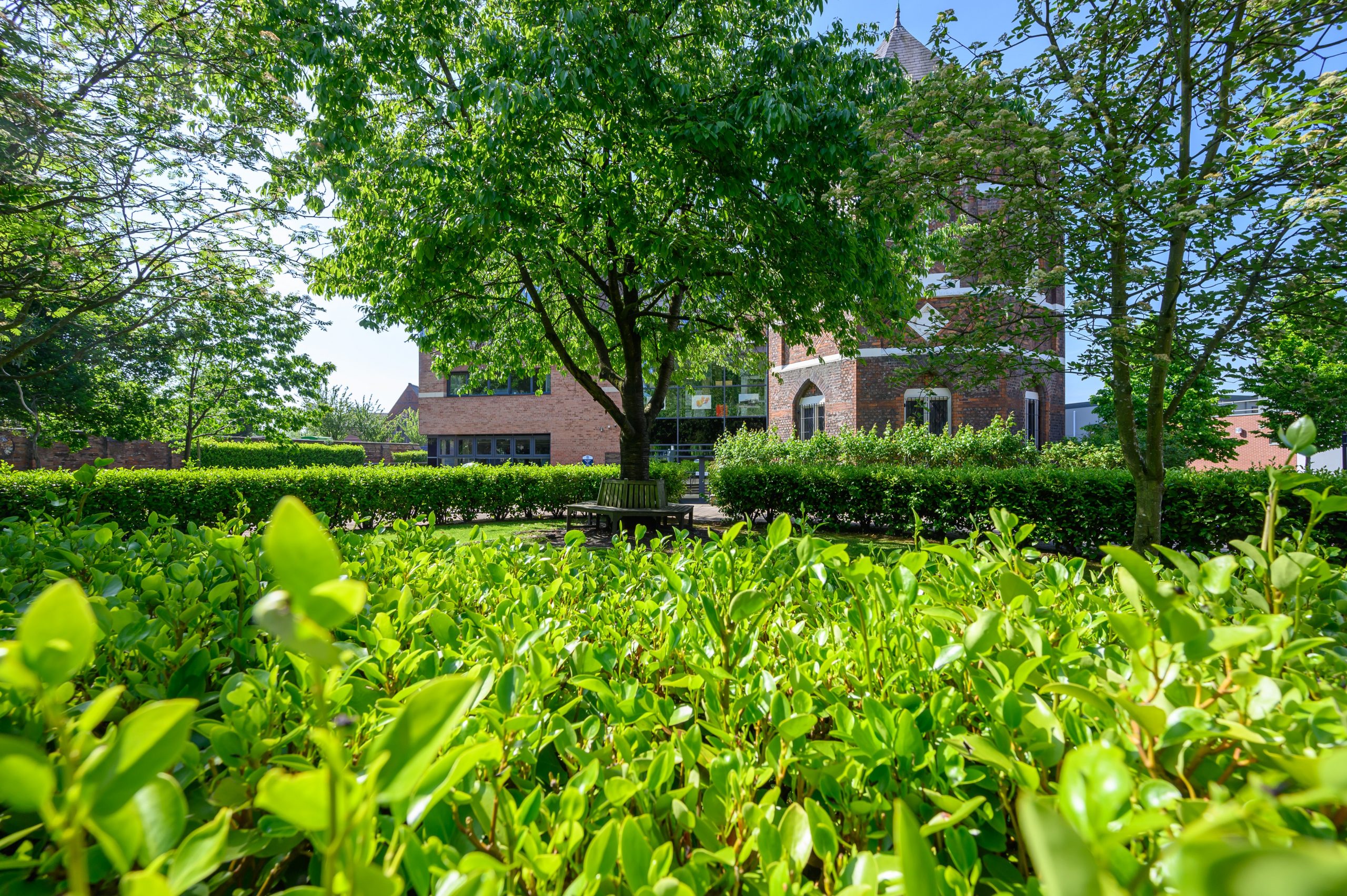 Green hedges in Loreto College campus with the Chapel in the background.