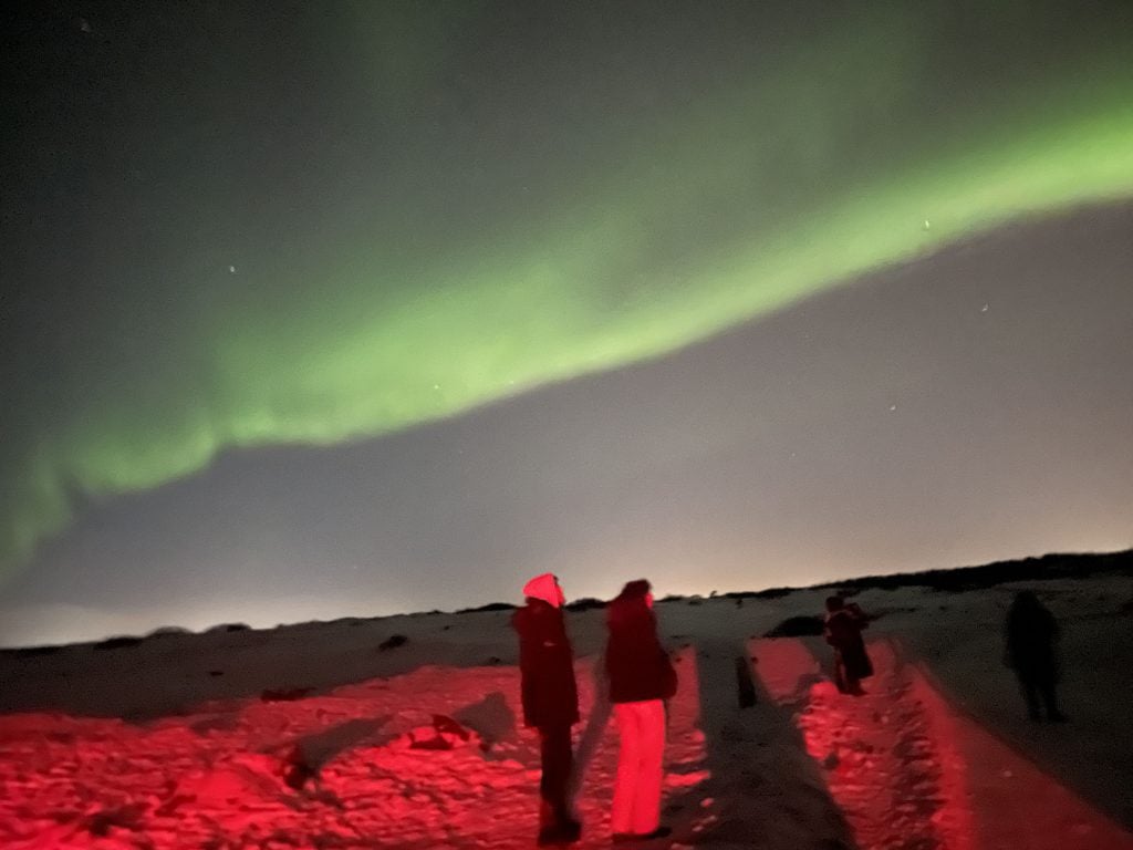 Loreto College Geography students watching the Northern Lights.