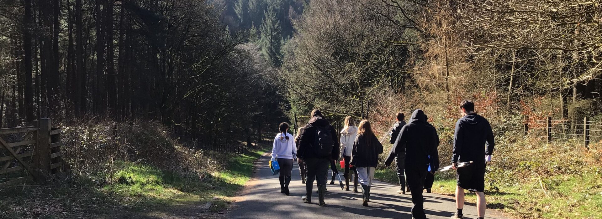 Geography students walking along a forest track in Macclesfield Forest during River Bollin fieldwork.